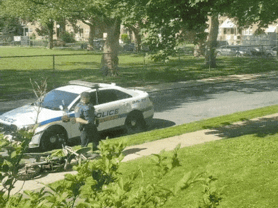 Police Karma (17 gifs)