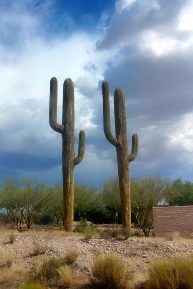 These Photos Are Very Interesting. Don't Miss Them (53 pics)