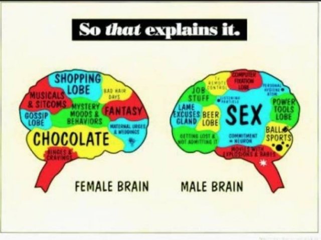 Women Vs Men (33 pics)