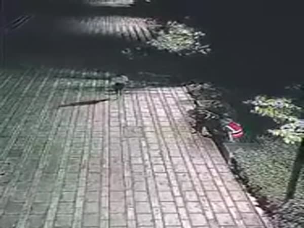 Construction Workers Help Woman Who Was Being Harassed By 2 Men