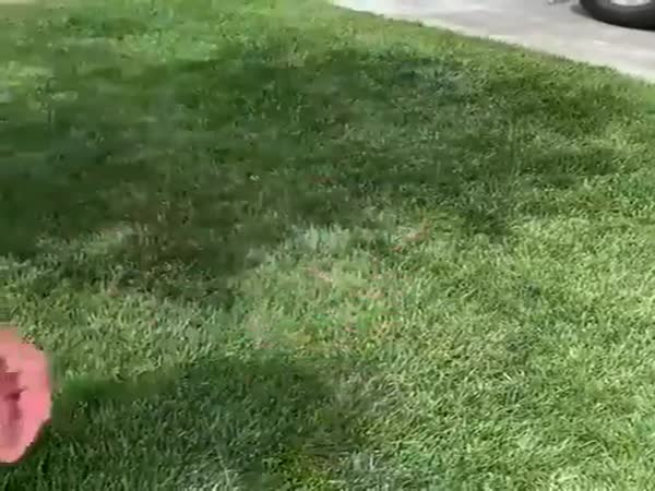 Popping Balloons With A Magnifying Glass