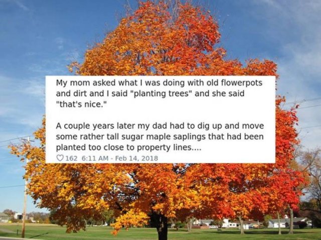 Tell A Story From Your Childhood That Says A Lot About You (31 pics)