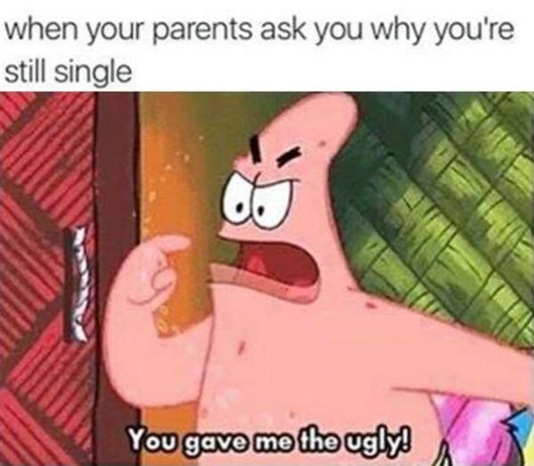 Single Memes (27 pics)