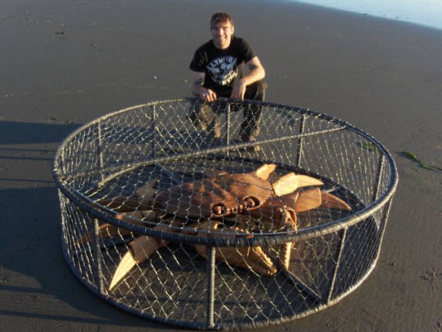 Artist Creates Sculptures Solely Out Of Wood He Finds On Beaches (30 pics)