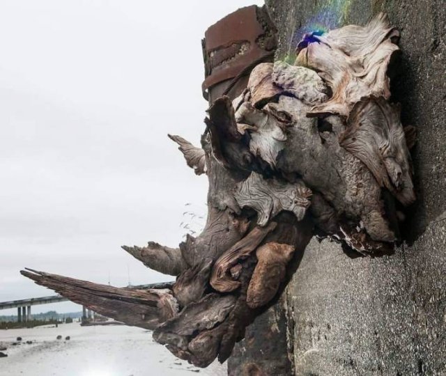 Artist Creates Sculptures Solely Out Of Wood He Finds On Beaches (30 pics)