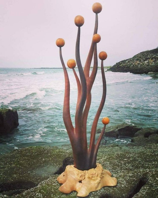 Artist Creates Sculptures Solely Out Of Wood He Finds On Beaches (30 pics)