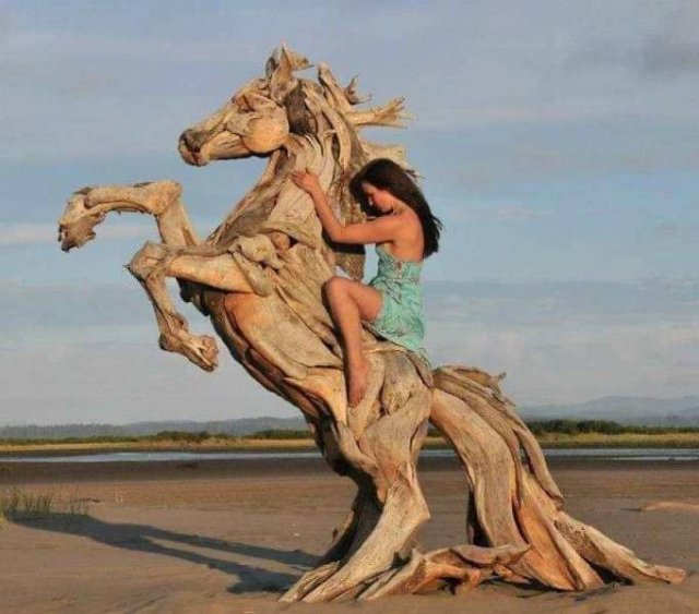 Artist Creates Sculptures Solely Out Of Wood He Finds On Beaches (30 pics)