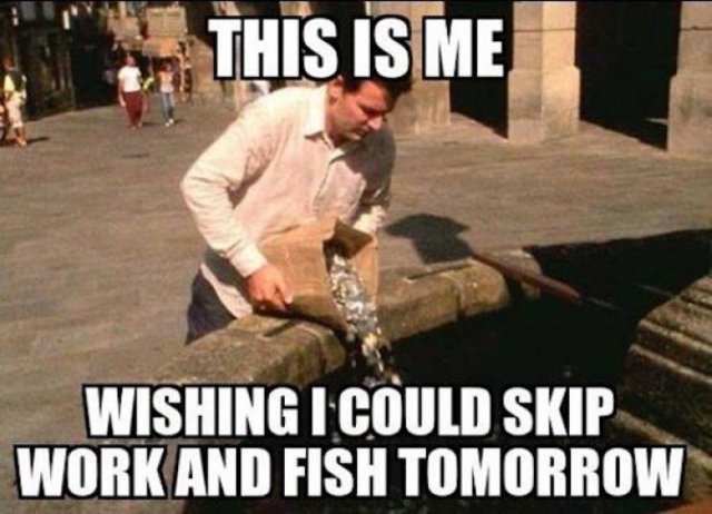 Fishing Memes (25 pics)