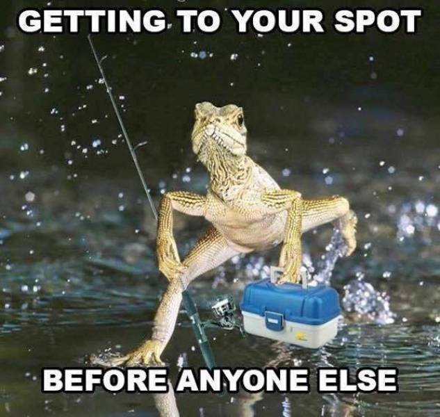 Fishing Memes (25 pics)