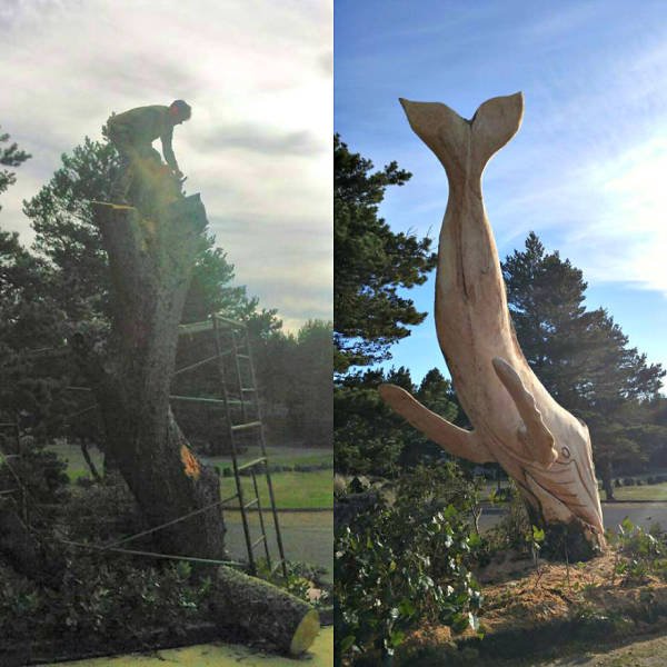 Artist Creates Sculptures Solely Out Of Wood He Finds On Beaches (30 pics)