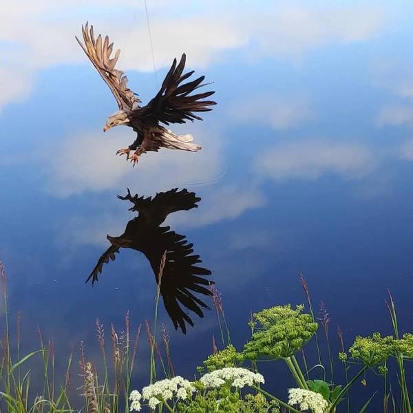 Artist Creates Sculptures Solely Out Of Wood He Finds On Beaches (30 pics)