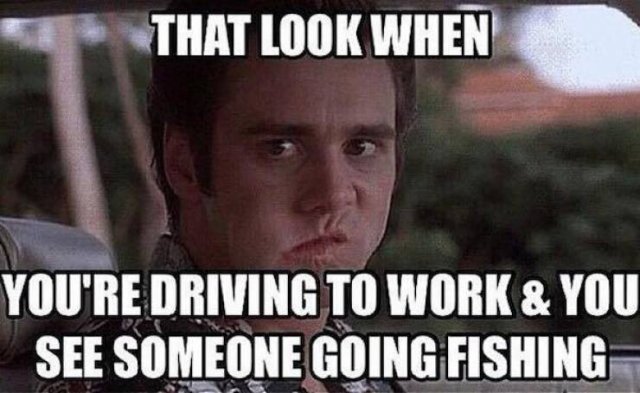 Fishing Memes (25 pics)