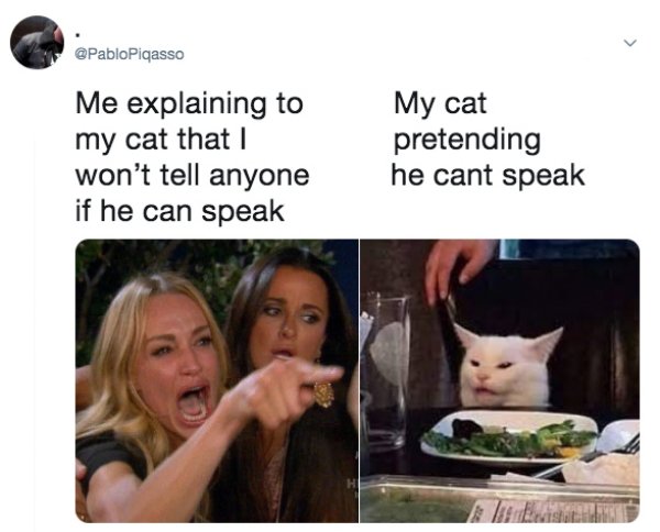 Funny Memes (40 pics)
