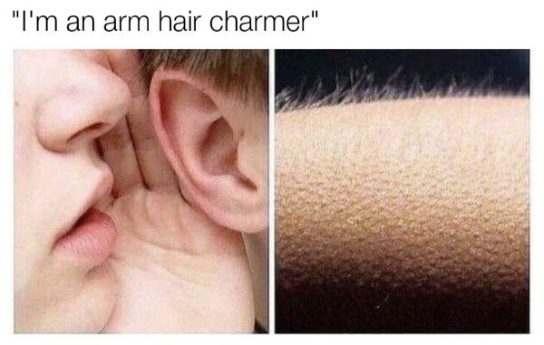 Same Memes, New Ways To Use Them (29 pics)