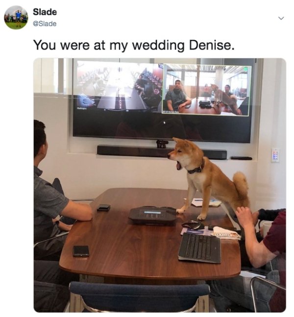 Funny Memes (40 pics)