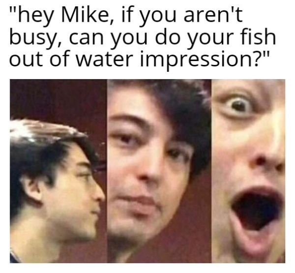 Same Memes, New Ways To Use Them (29 pics)