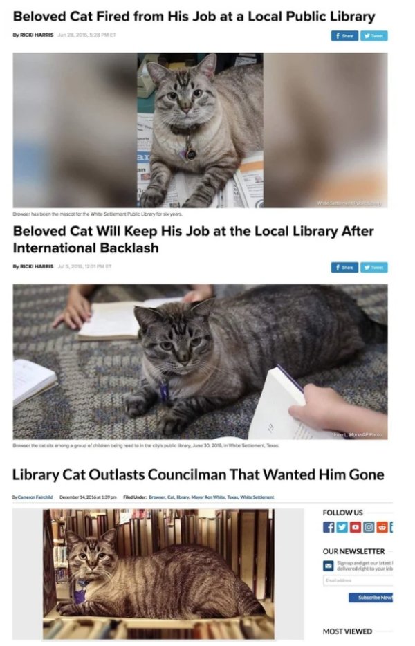 Funny Memes (40 pics)