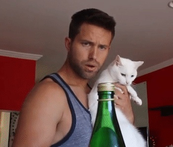 Acid Gifdump, July 11 (25 gifs)