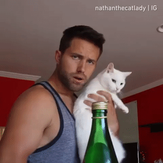 Acid Gifdump, July 11 (25 gifs)