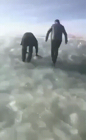 Acid Gifdump, July 11 (25 gifs)