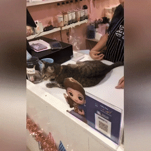 Acid Gifdump, July 11 (25 gifs)