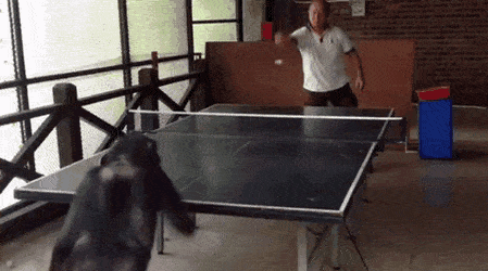 Acid Gifdump, July 11 (25 gifs)