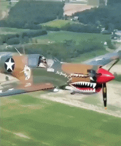 Acid Gifdump, July 11 (25 gifs)