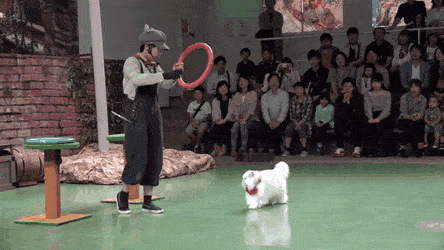 Acid Gifdump, July 11 (25 gifs)