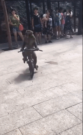 Acid Gifdump, July 11 (25 gifs)