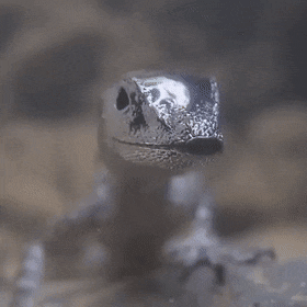 Acid Gifdump, July 11 (25 gifs)