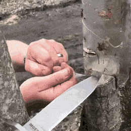 Acid Gifdump, July 11 (25 gifs)