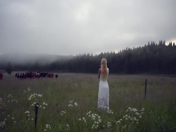 No One Could Resist Her Voice
