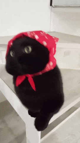 Acid Gifdump, July 12 (25 gifs)