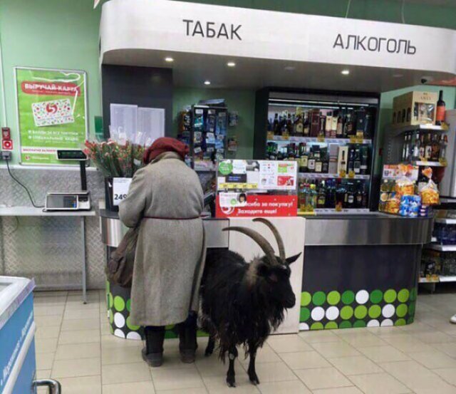Only In Russia (40 pics)