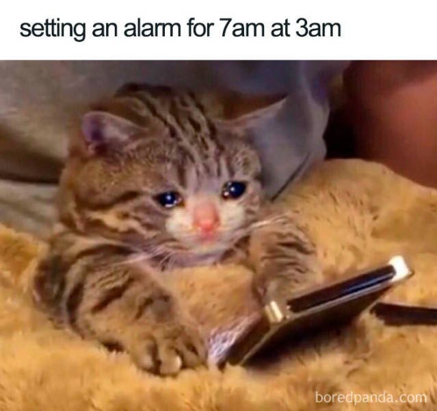 Sleep Memes (40 pics)