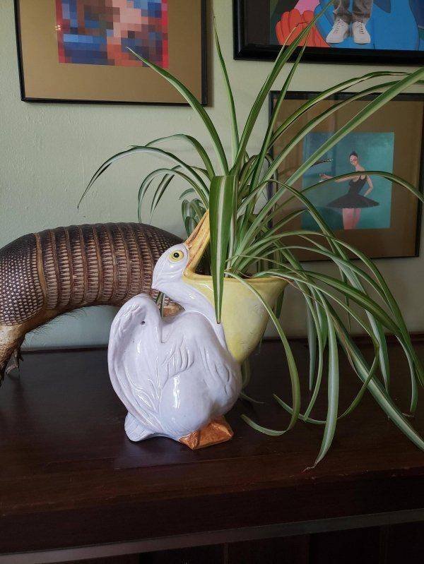 Found At Thrift Shops (35 pics)