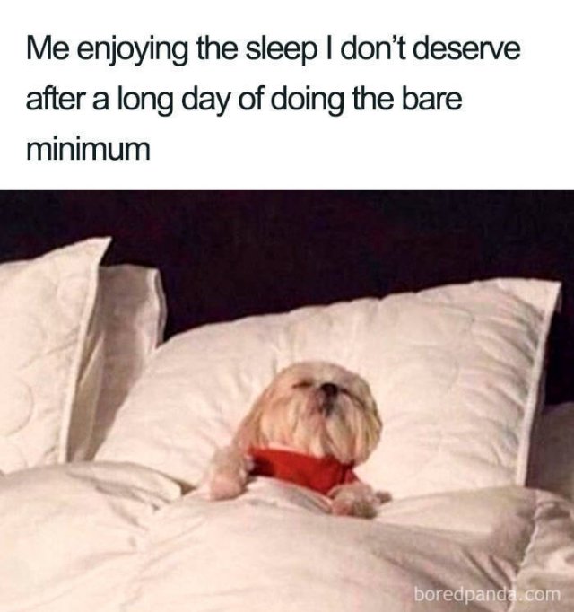 Sleep Memes (40 pics)