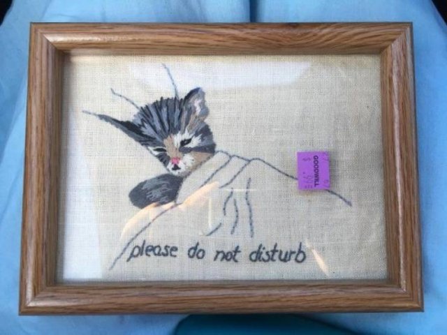 Found At Thrift Shops (35 pics)