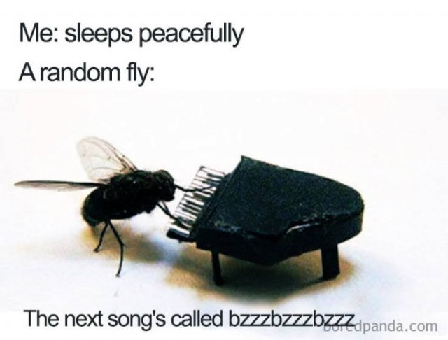 Sleep Memes (40 pics)