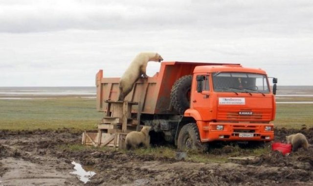 Only In Russia (40 pics)