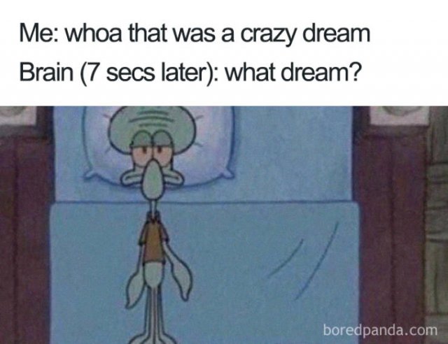 Sleep Memes (40 pics)