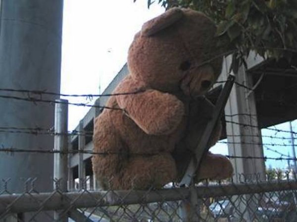 Sh*t Happens (36 pics)