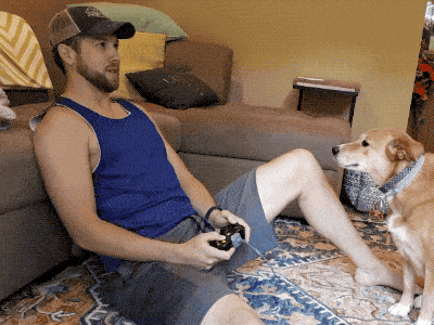 Please Pet Me (18 gifs)
