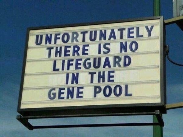 Sh*t Happens (36 pics)