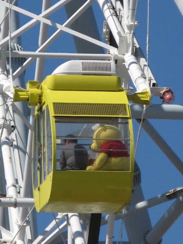 Sh*t Happens (36 pics)
