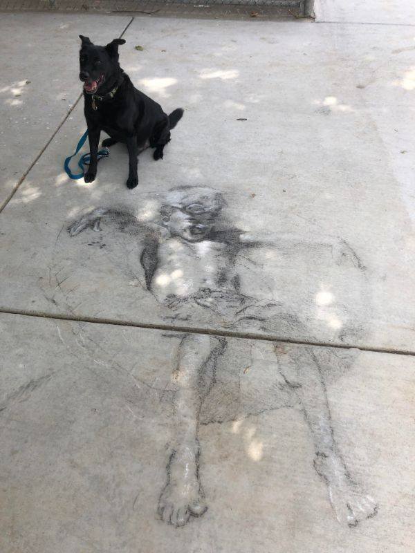 Street Art Fun (26 pics)