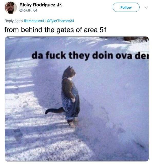 “Area 51” Raid Memes (34 pics)