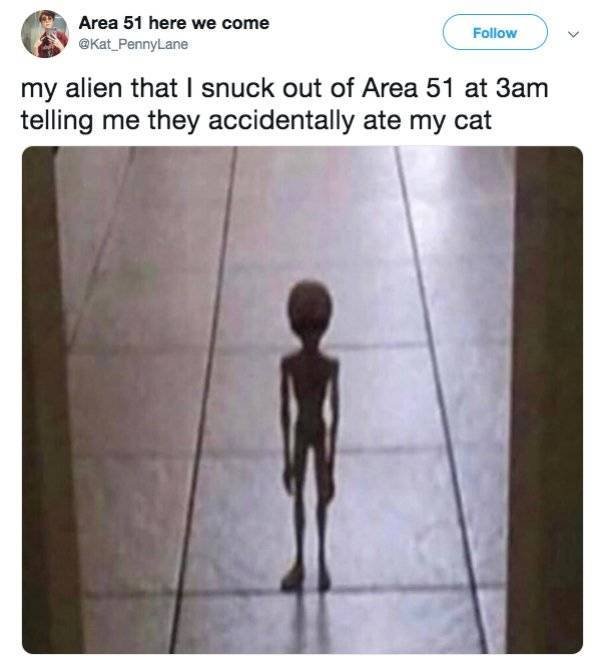 “Area 51” Raid Memes (34 pics)