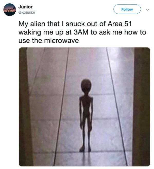 “Area 51” Raid Memes (34 pics)