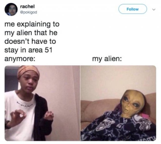 “Area 51” Raid Memes (34 pics)